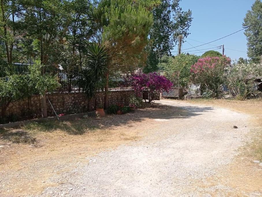 Spiros House Apartment Lygia (Lefkada)