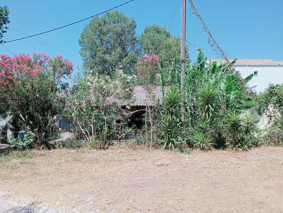 Apartment Spiros House Lygia (Lefkada)